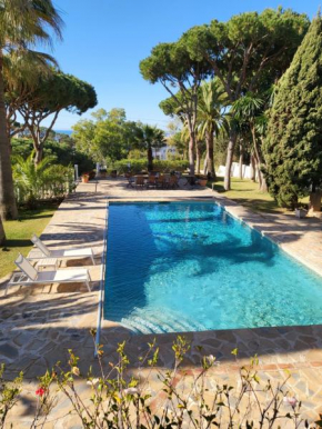 Andalusian Villa